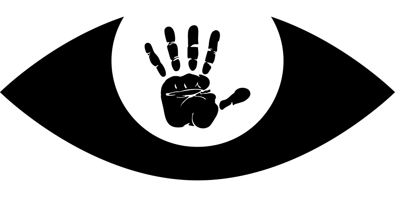 五月风华再现，最新妾室动态揭秘