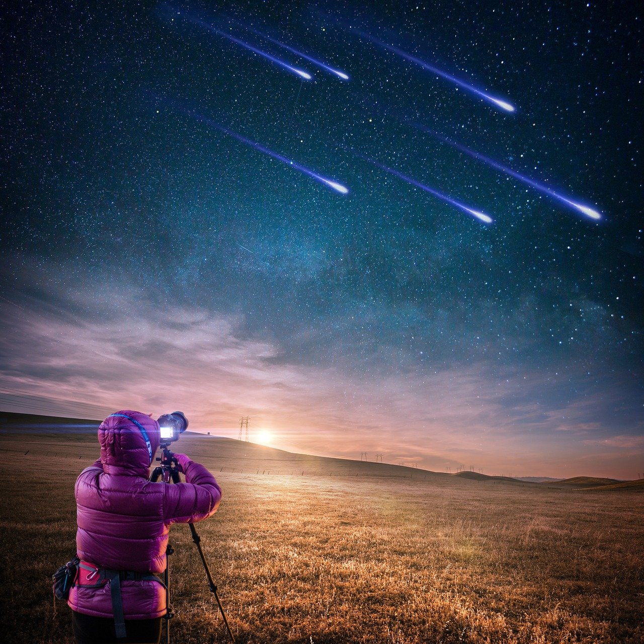 五月星光璀璨，明星大侦探嘉宾名单揭晓